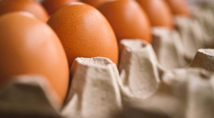 Eğer yumurta böyle görünüyorsa sakın ama sakın almayın! Önemsemediğimiz o detay çok önemliymiş!
